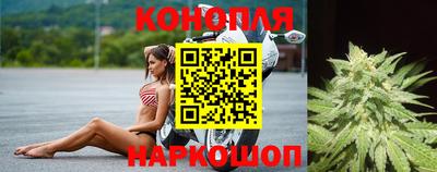 mdpv Камышлов