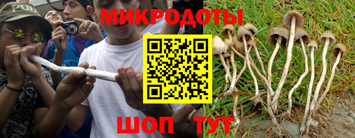 Псилоцибиновые грибы Magic Shrooms Красноярск
